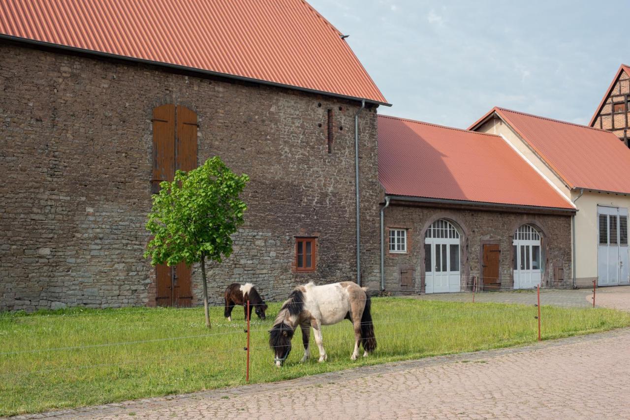 Apartament Sonnenschloss *